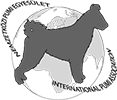 Logo 7